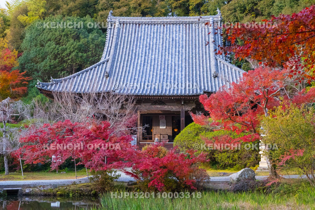 奈良県　紅葉の長岳寺　本堂