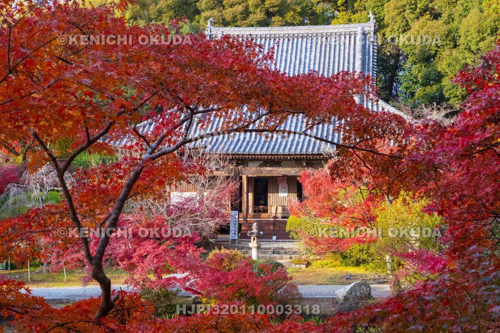 奈良県　紅葉の長岳寺　本堂