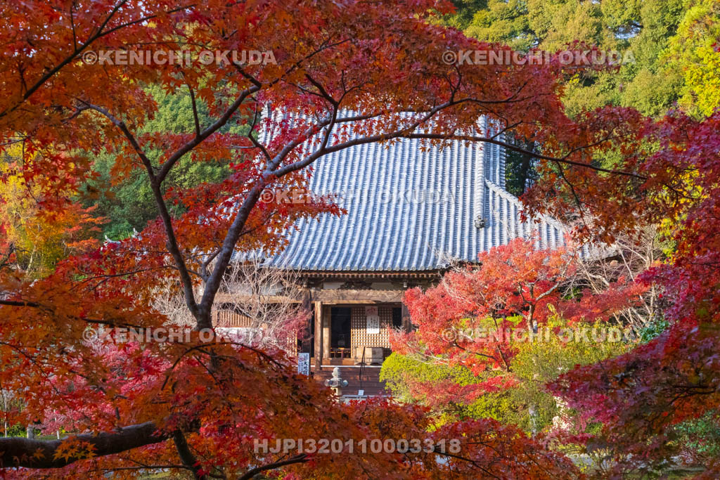 奈良県　紅葉の長岳寺　本堂