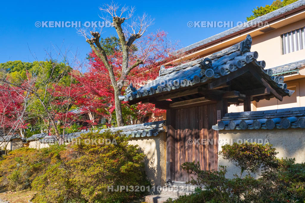 奈良県　紅葉の唐招提寺　法花院