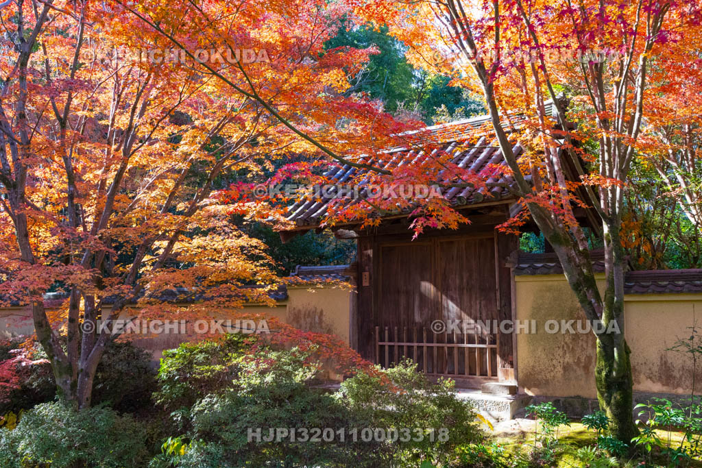 奈良県　紅葉の唐招提寺　應量坊