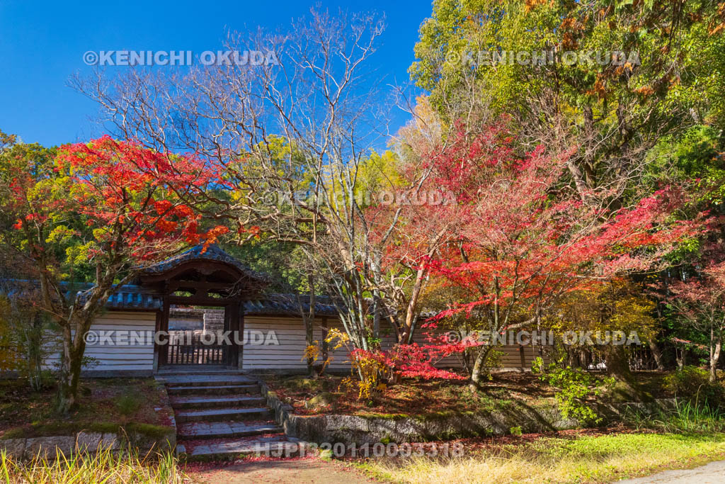奈良県　紅葉の唐招提寺　戒壇