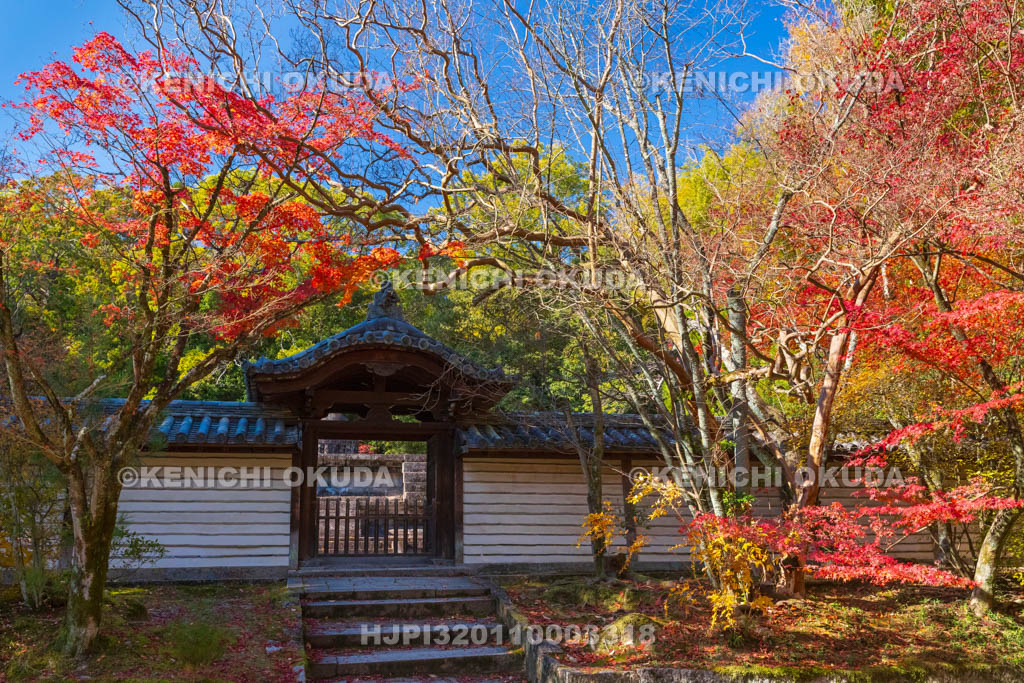 奈良県　紅葉の唐招提寺　戒壇