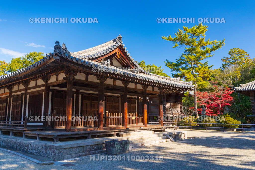 奈良県　紅葉の唐招提寺　礼堂（重文）