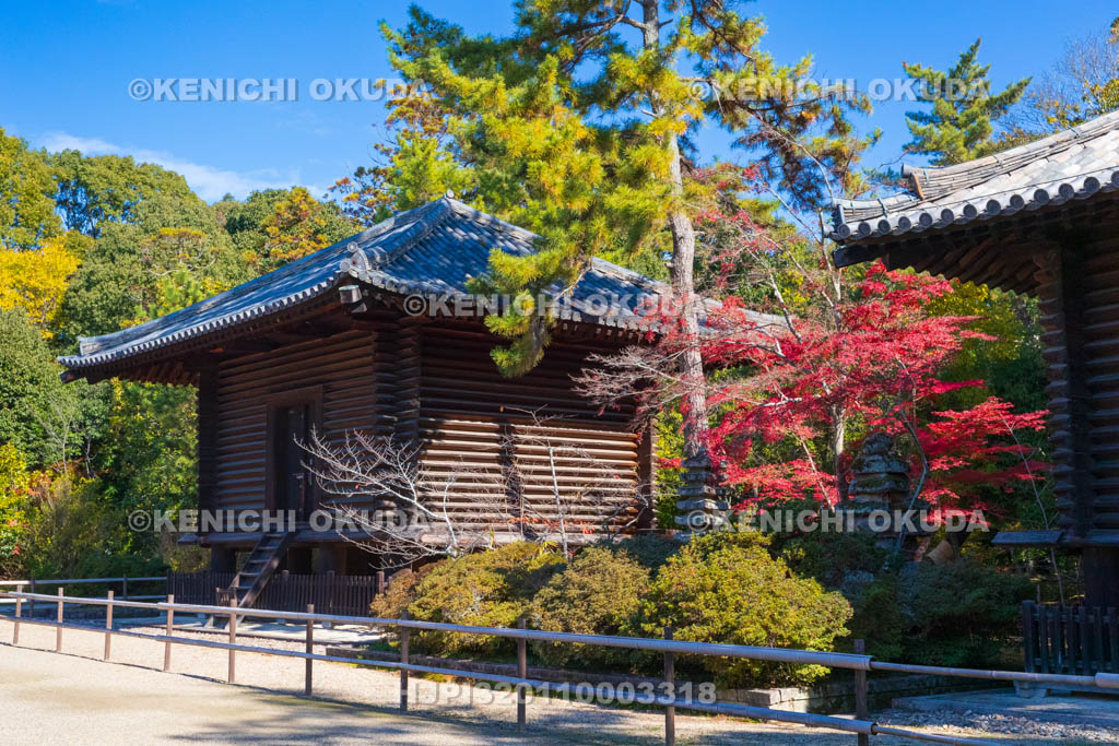 奈良県　紅葉の唐招提寺　宝蔵（国宝）