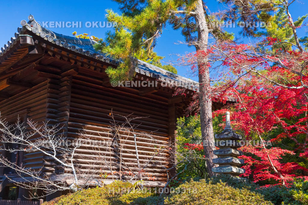 奈良県　紅葉の唐招提寺　宝蔵（国宝）