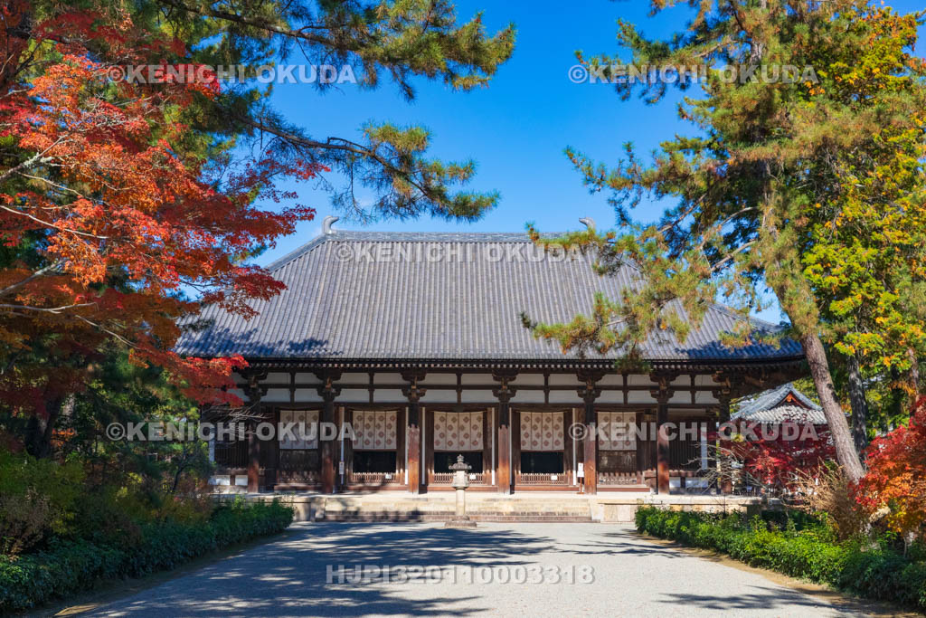 奈良県　紅葉の唐招提寺　金堂（国宝）