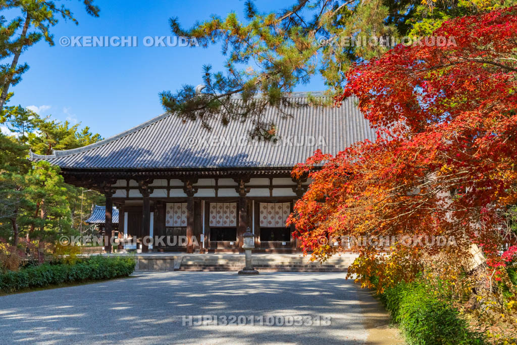 奈良県　紅葉の唐招提寺　金堂（国宝）
