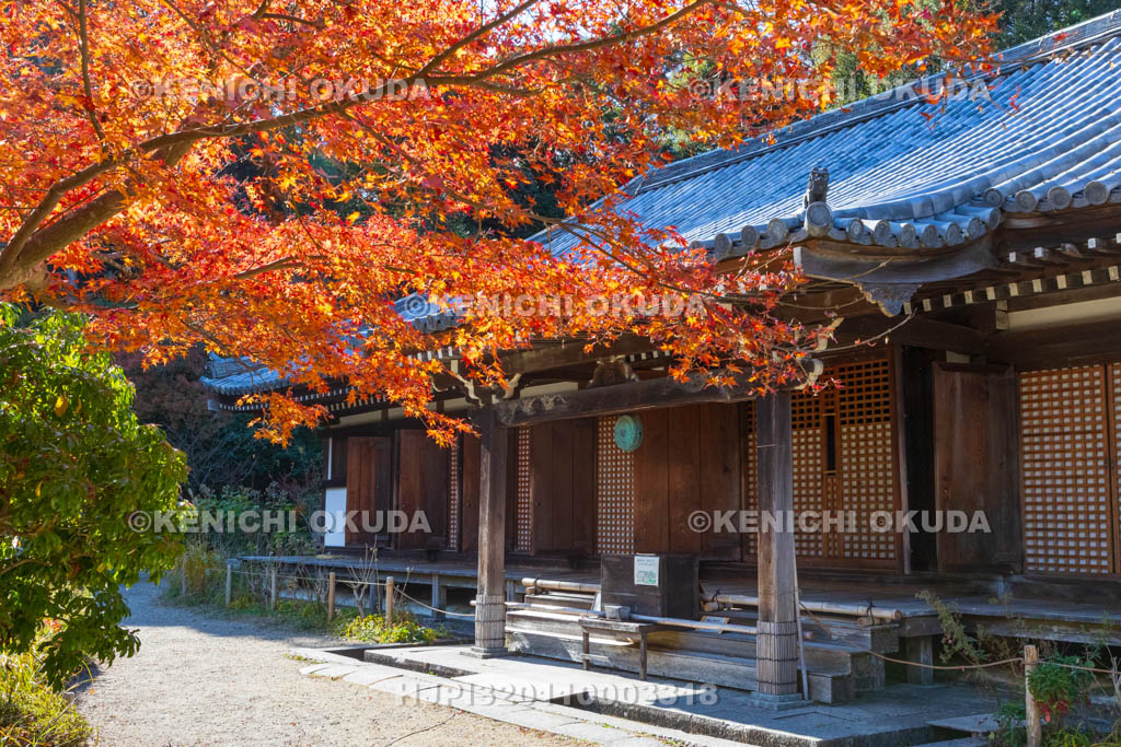 京都府　紅葉の浄瑠璃寺　本堂（国宝）