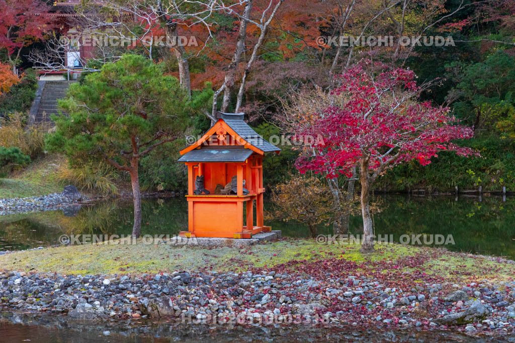 京都府　紅葉の浄瑠璃寺　弁天社