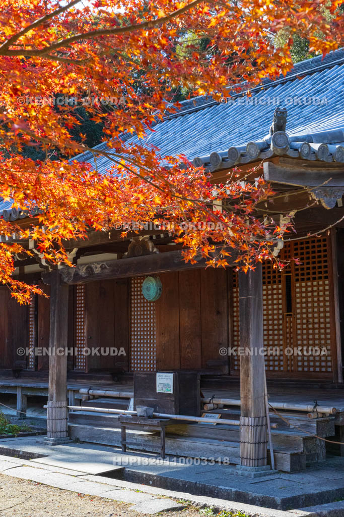 京都府　紅葉の浄瑠璃寺　本堂（国宝）