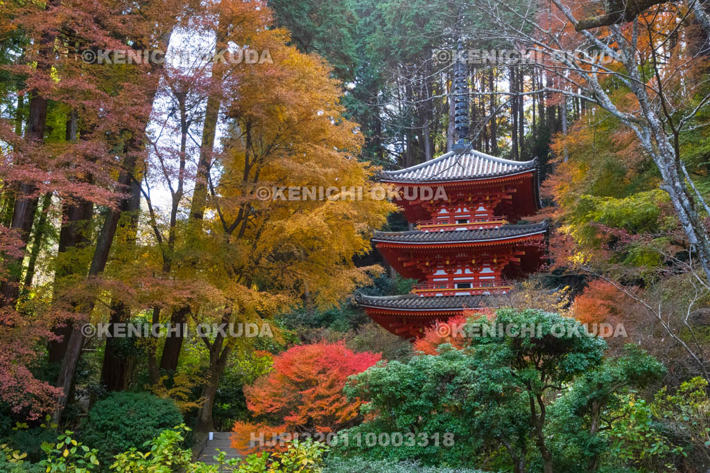 京都府　紅葉の岩船寺　三重塔（重文）