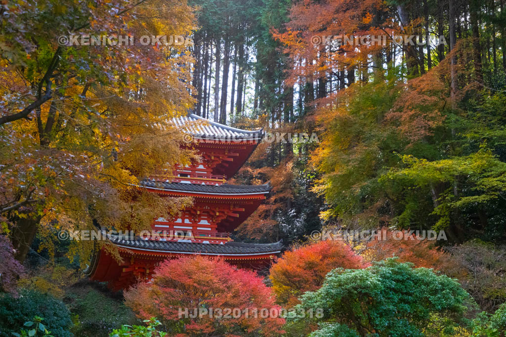 京都府　紅葉の岩船寺　三重塔（重文）
