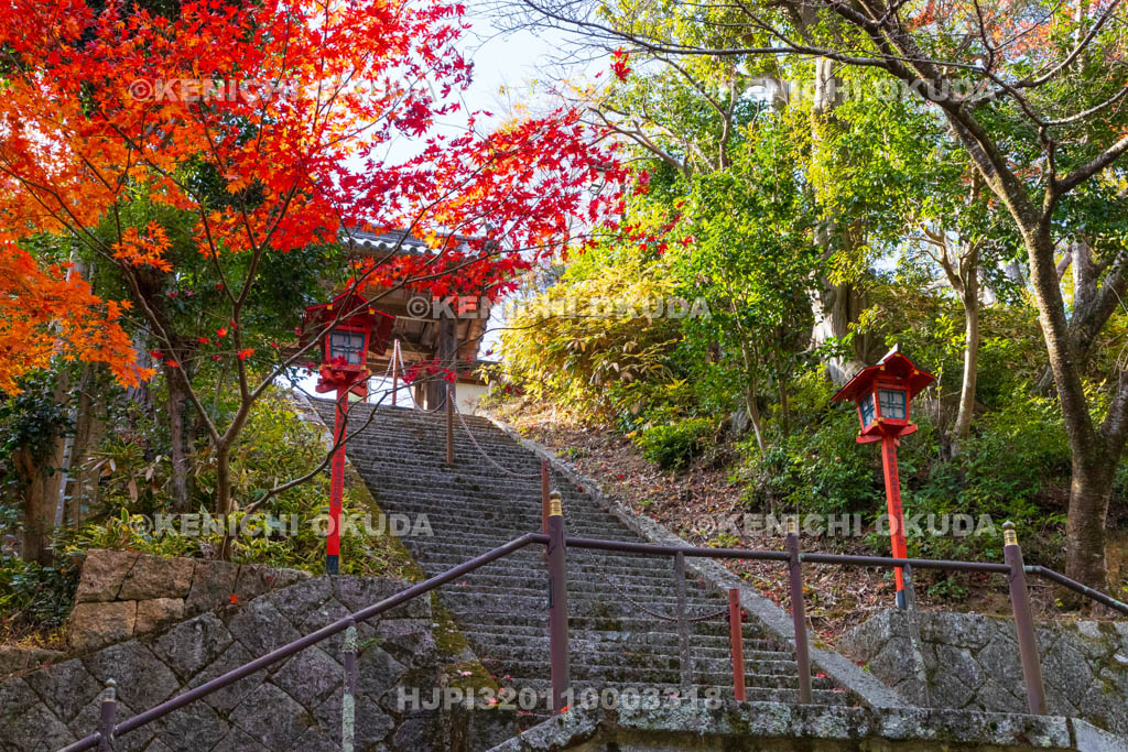 京都府　紅葉の海住山寺　参道