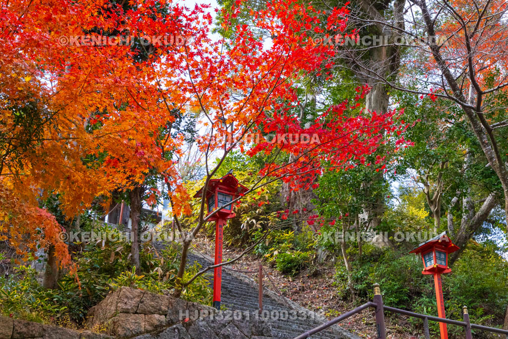 京都府　紅葉の海住山寺　参道