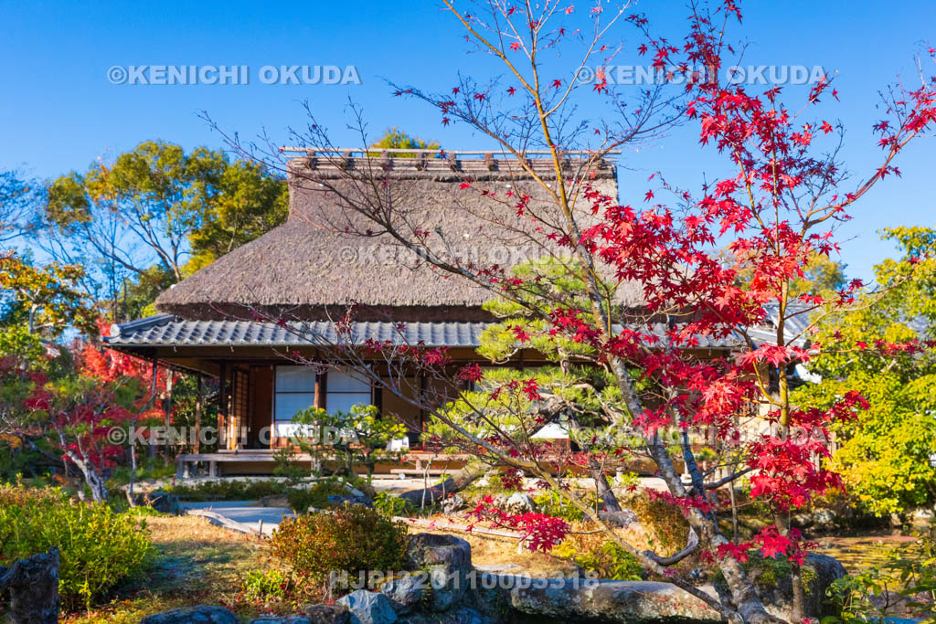 奈良県　紅葉の依水園　前園から望む三秀亭