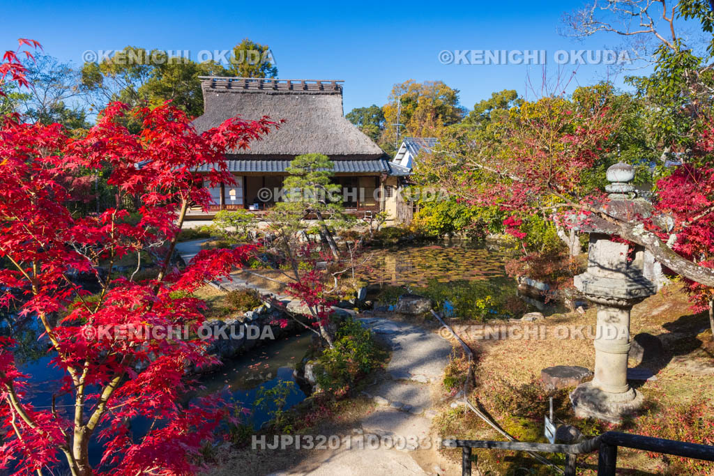 奈良県　紅葉の依水園　前園から望む三秀亭