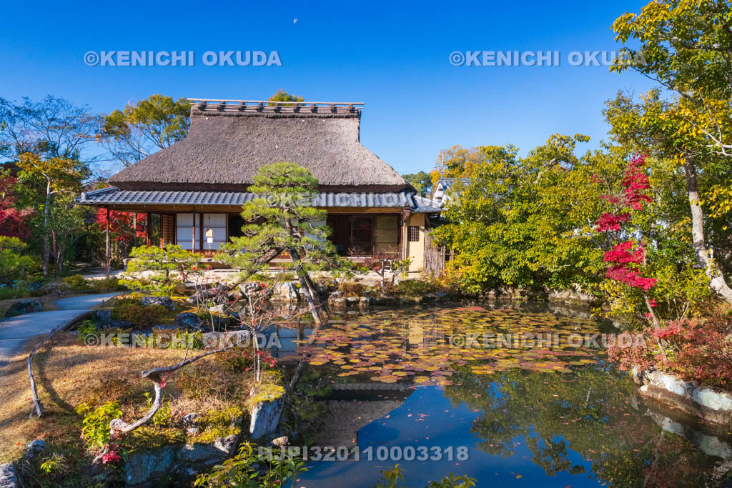 奈良県　紅葉の依水園　前園から望む三秀亭