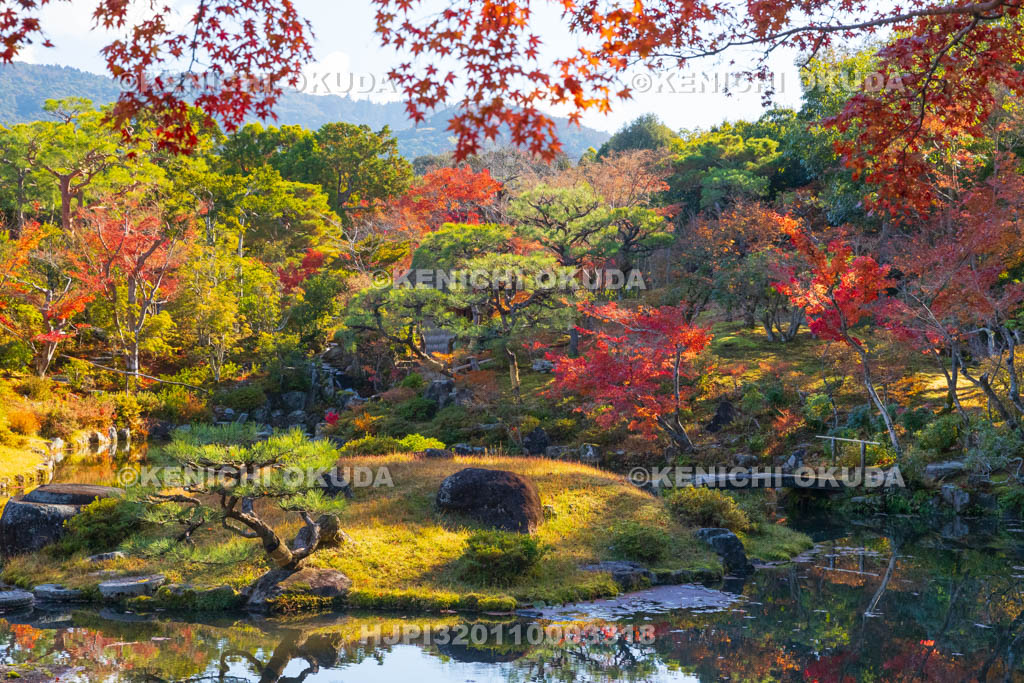 奈良県　紅葉の依水園　後園