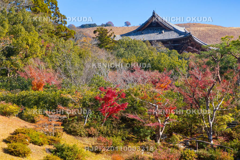 奈良県　紅葉の依水園　後園と東大寺南大門（国宝）