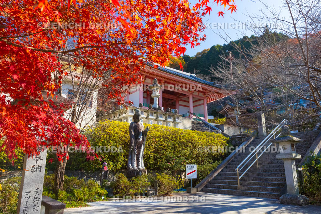 奈良県　紅葉の壷阪寺（南法華寺）　参道