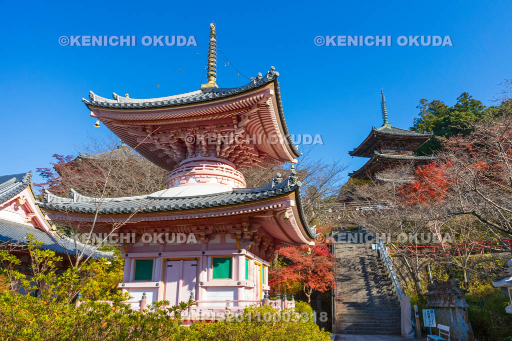 奈良県　紅葉の壷阪寺（南法華寺）　多宝塔と三重塔（重文）