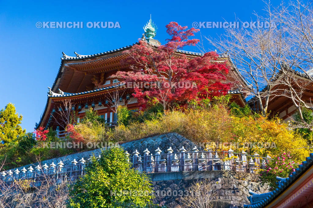 奈良県　紅葉の壷阪寺（南法華寺）　八角円堂