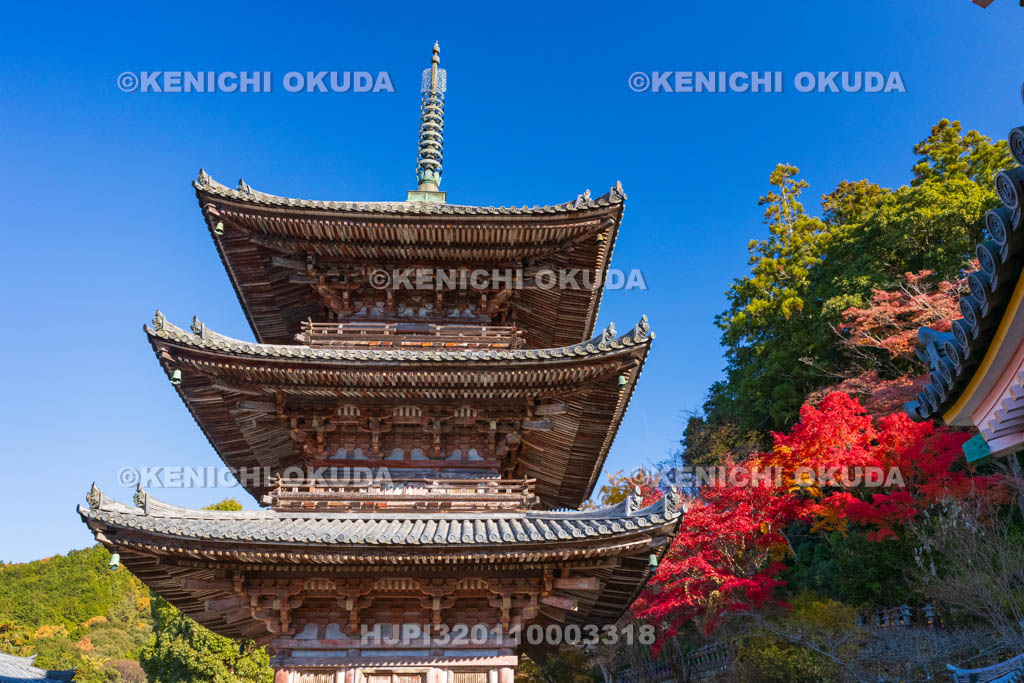 奈良県　紅葉の壷阪寺（南法華寺）　三重塔（重文）
