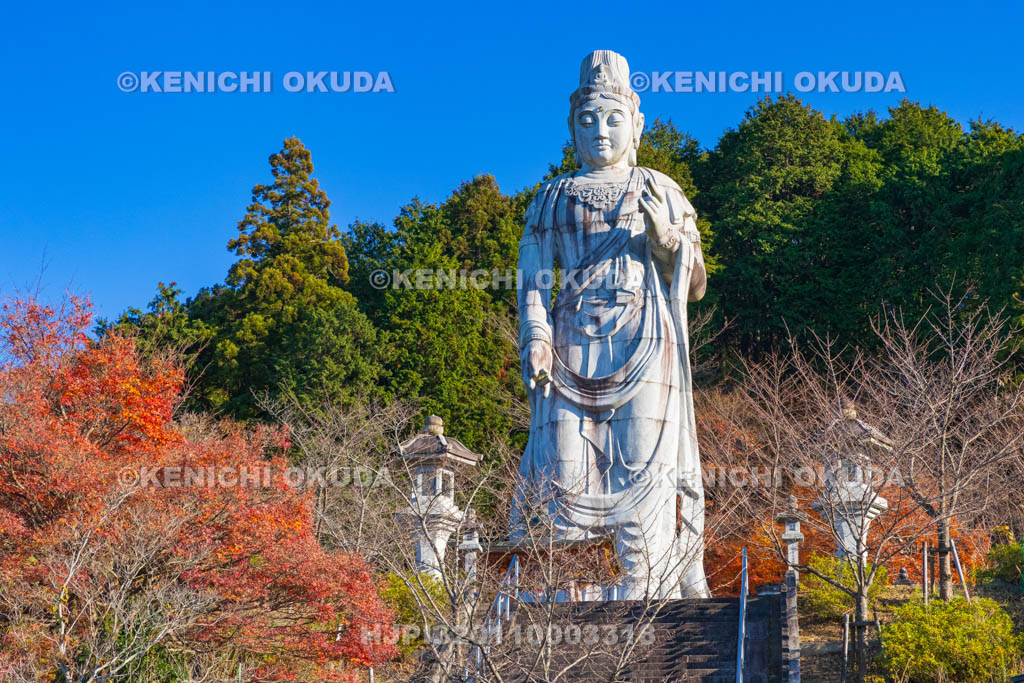 奈良県　紅葉の壷阪寺（南法華寺）　大観音石像