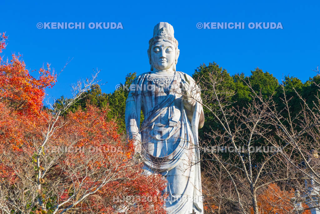 奈良県　紅葉の壷阪寺（南法華寺）　大観音石像
