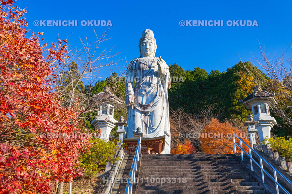 奈良県　紅葉の壷阪寺（南法華寺）　大観音石像