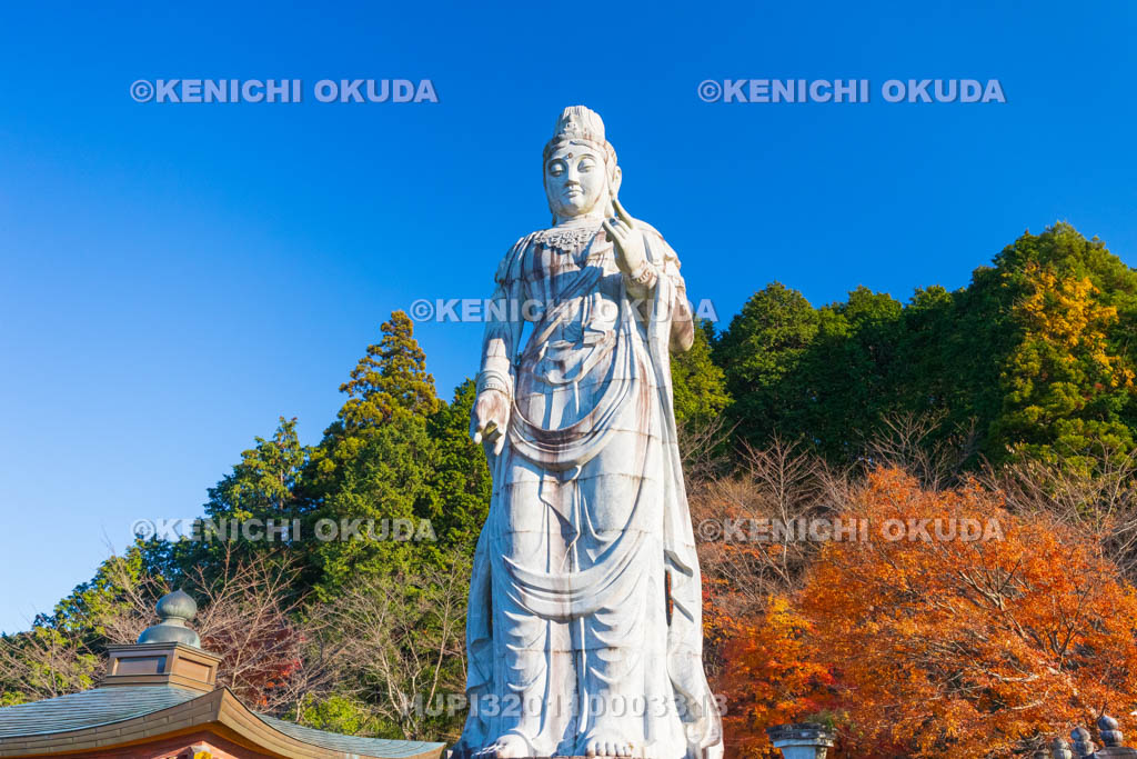奈良県　紅葉の壷阪寺（南法華寺）　大観音石像