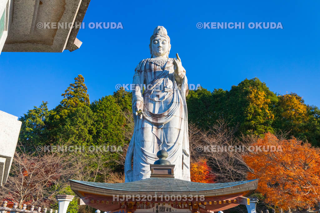 奈良県　紅葉の壷阪寺（南法華寺）　大観音石像