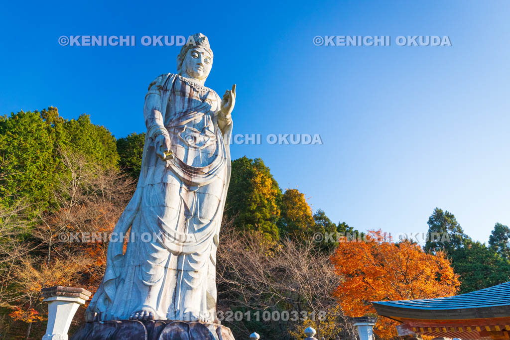 奈良県　紅葉の壷阪寺（南法華寺）　大観音石像