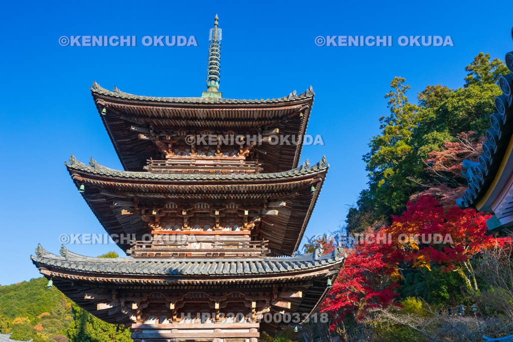 奈良県　紅葉の壷阪寺（南法華寺）　三重塔（重文）