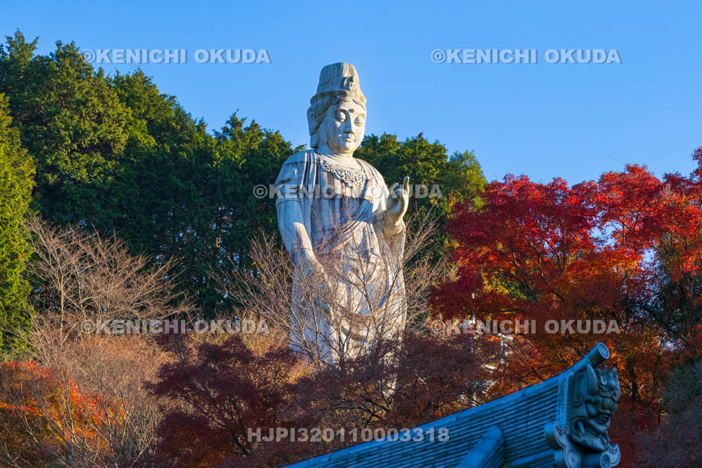 奈良県　紅葉の壷阪寺（南法華寺）　大観音石像