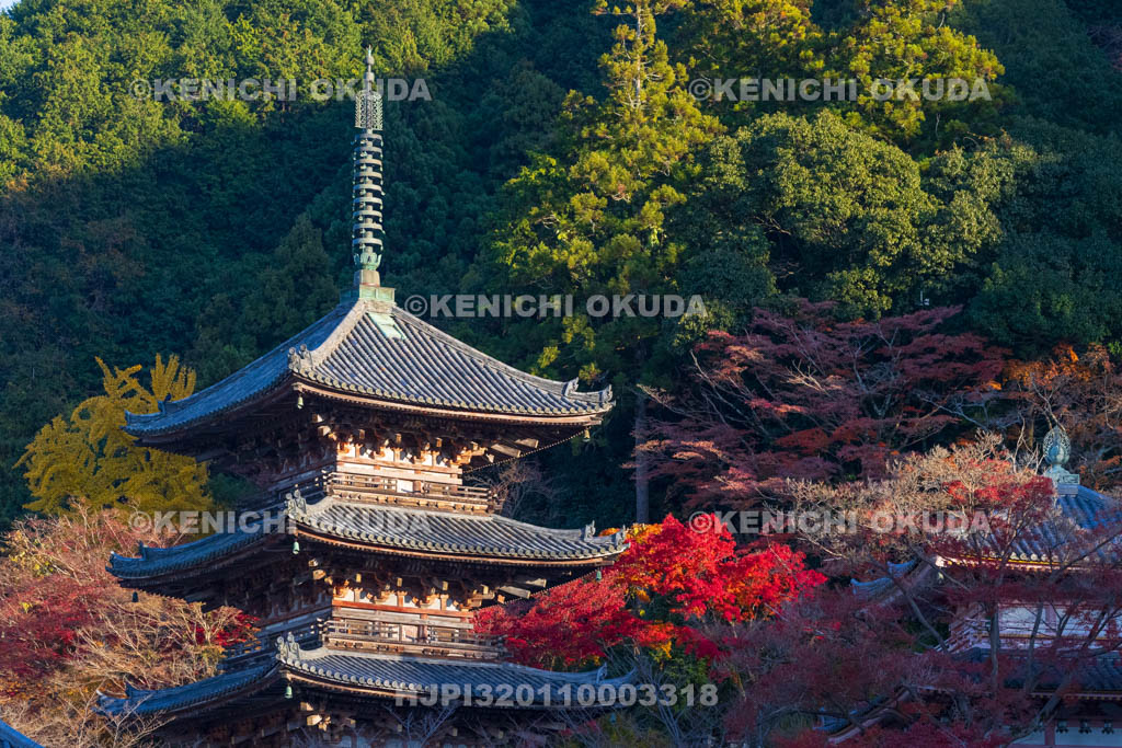 奈良県　紅葉の壷阪寺（南法華寺）　三重塔（重文）