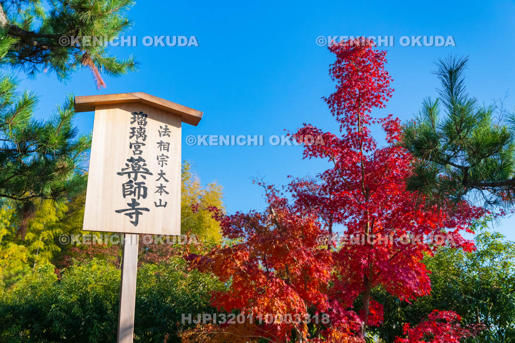 奈良県　紅葉の薬師寺