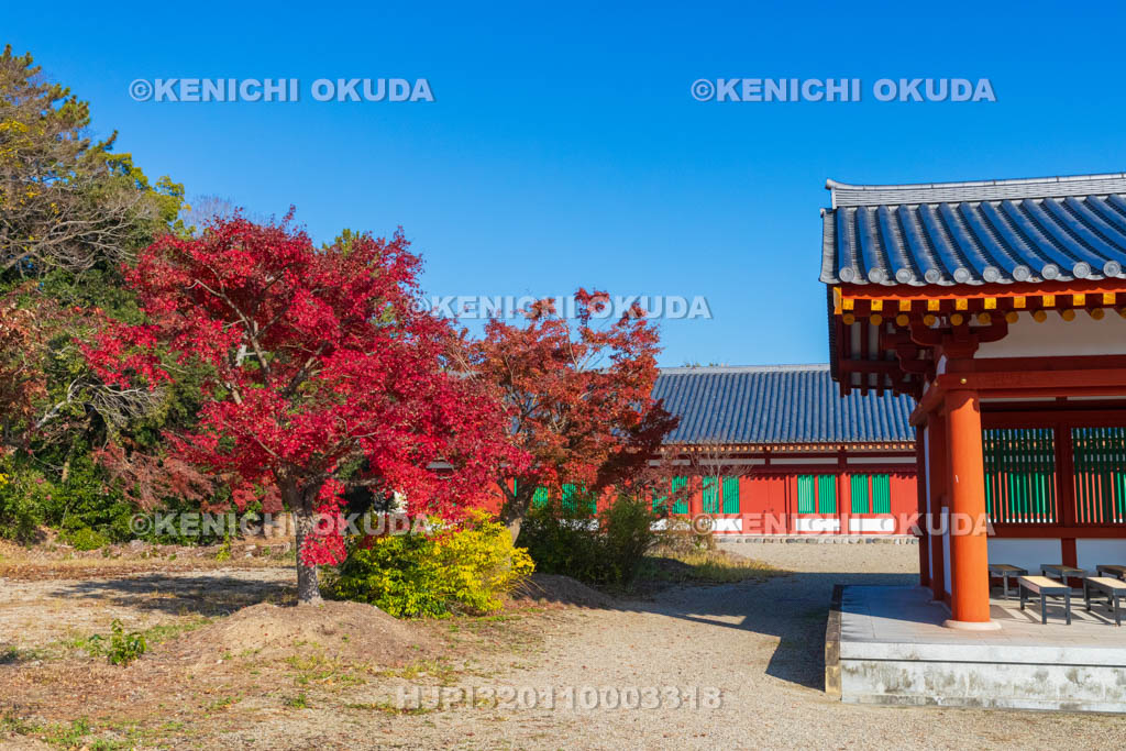 奈良県　紅葉の薬師寺