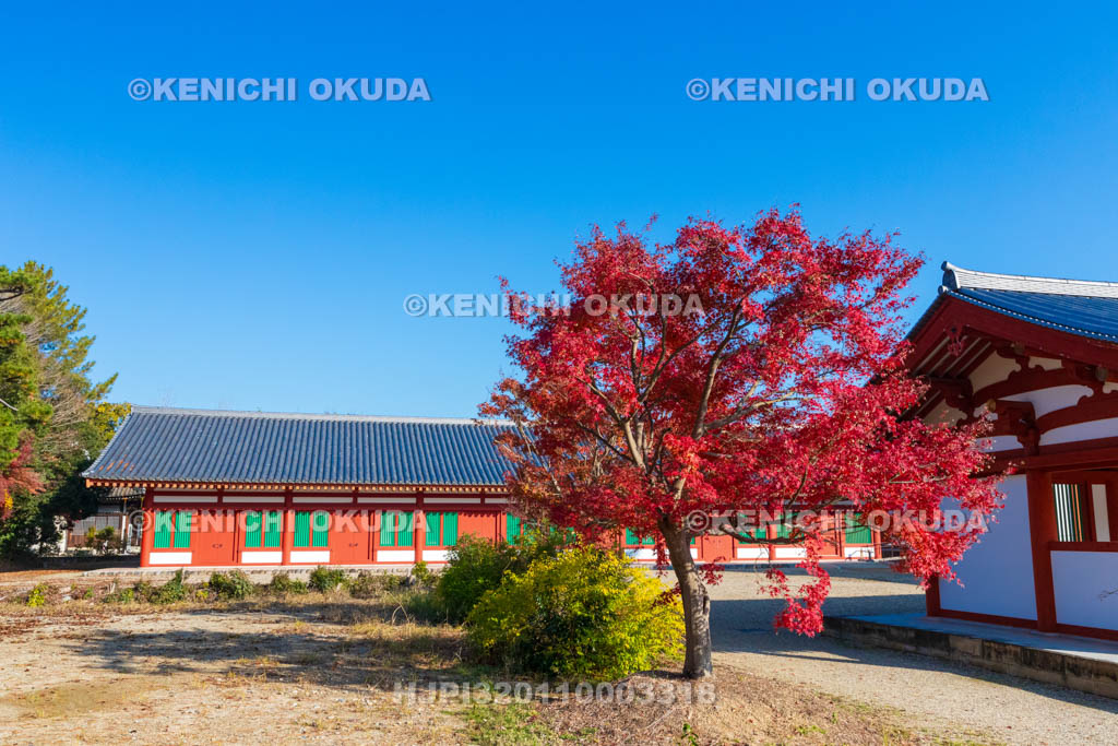 奈良県　紅葉の薬師寺　西僧坊