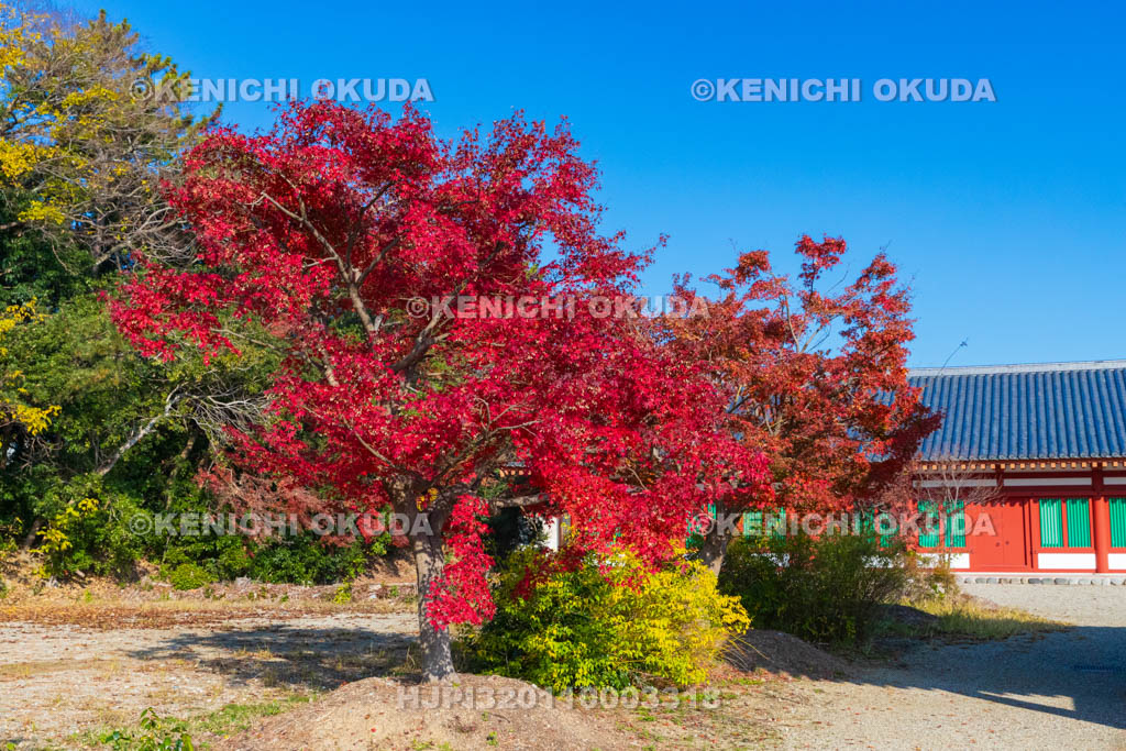 奈良県　紅葉の薬師寺　西僧坊