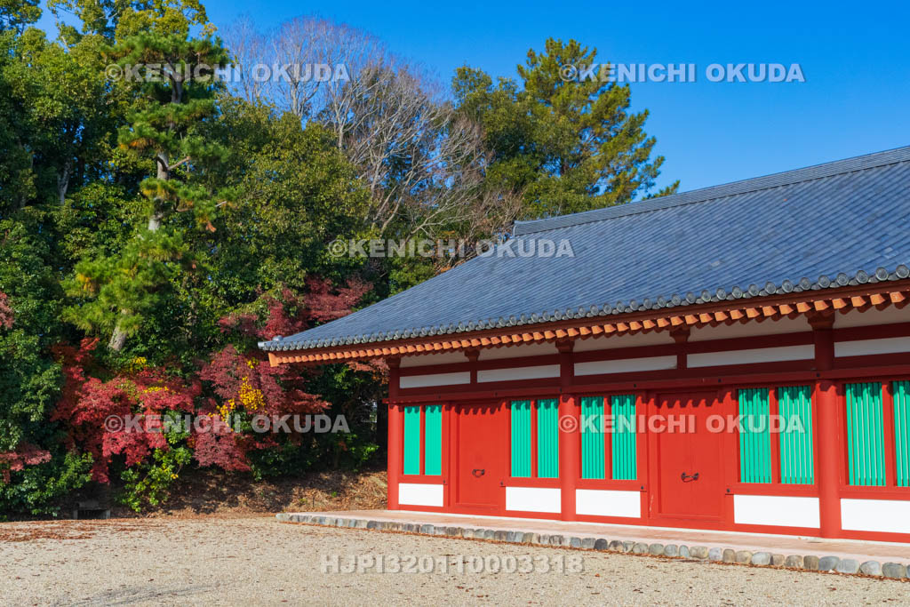 奈良県　紅葉の薬師寺　西僧坊