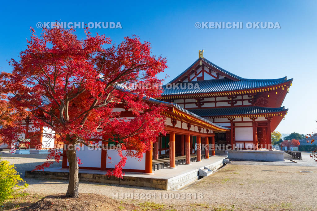 奈良県　紅葉の薬師寺　大講堂