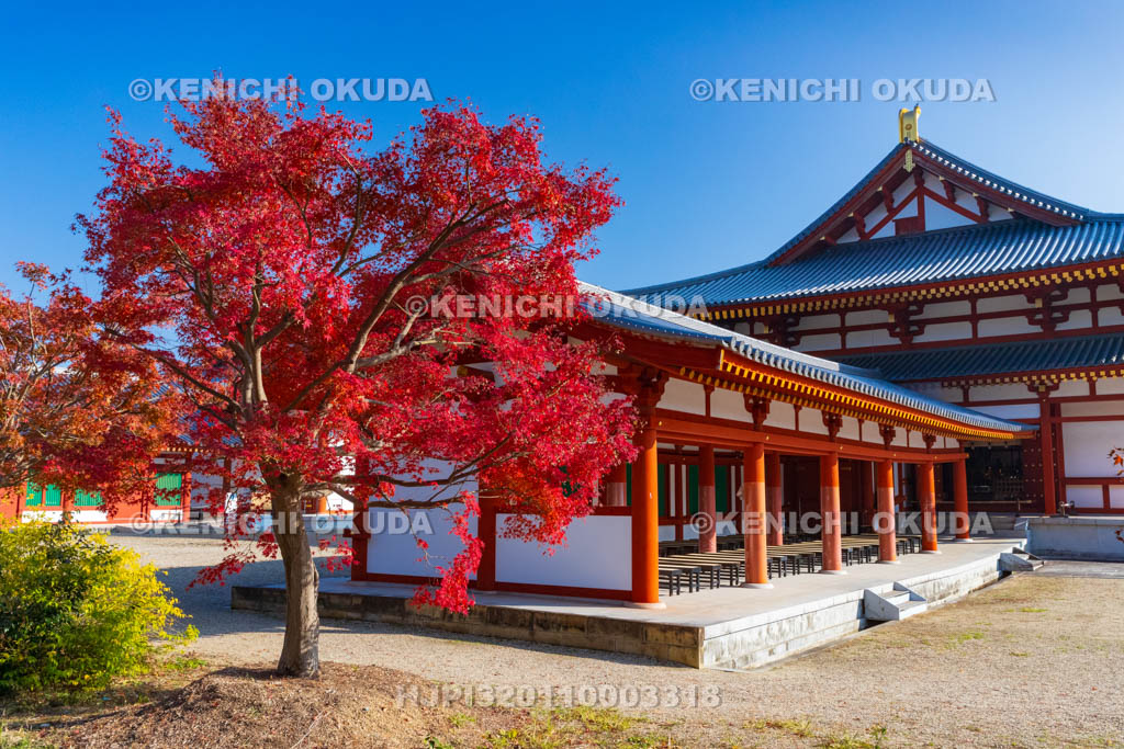 奈良県　紅葉の薬師寺