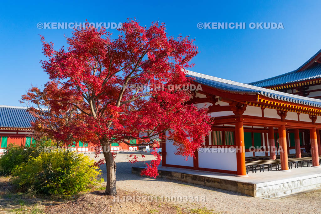 奈良県　紅葉の薬師寺