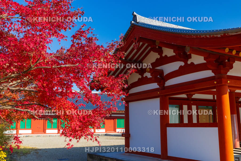 奈良県　紅葉の薬師寺