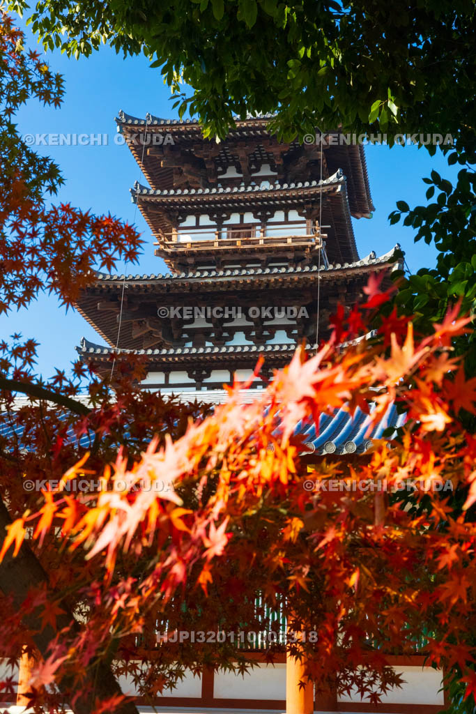奈良県　紅葉の薬師寺　東塔（国宝）