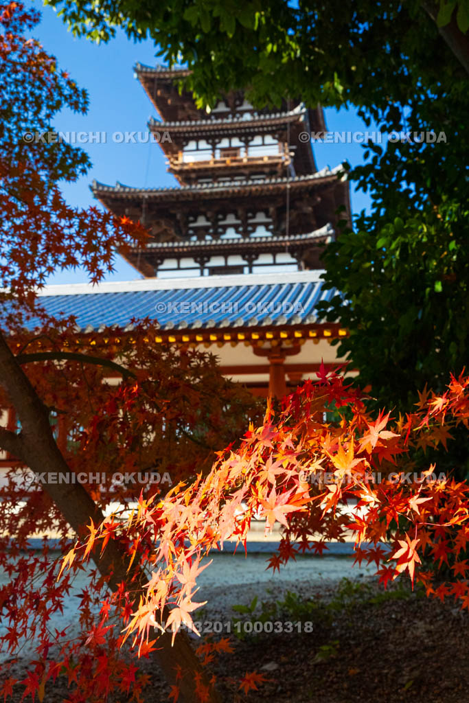 奈良県　紅葉の薬師寺　東塔（国宝）