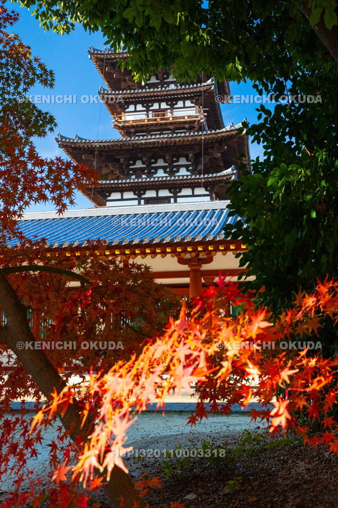 奈良県　紅葉の薬師寺　東塔（国宝）