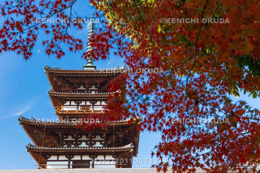 奈良県　紅葉の薬師寺　東塔（国宝）